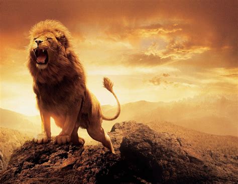 Narnia Aslan Wallpapers - Wallpaper Cave