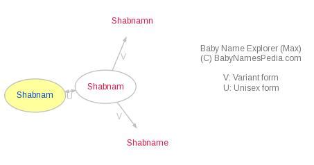 Shabnam - Meaning of Shabnam, What does Shabnam mean?