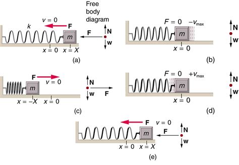 Simple Harmonic Motion: A Special Periodic Motion · Physics