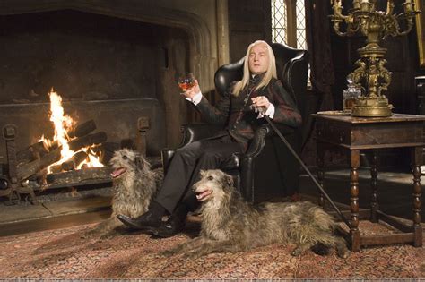 Lucius in Malfoy Manor - Harry Potter Photo (1356175) - Fanpop