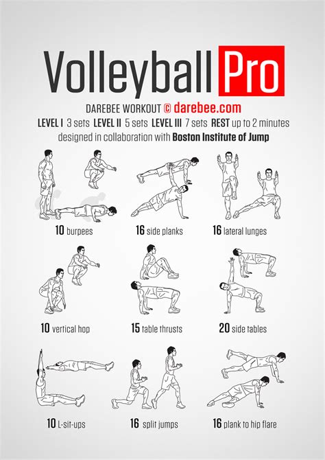 Volleyball Pro Workout | Volleyball workouts, Volleyball training, Coaching volleyball