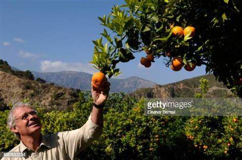 Chris Stewart (Author) Photos and Premium High Res Pictures - Getty Images