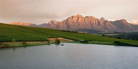 Luxury Wine Tours South Africa | Enchanting Travels