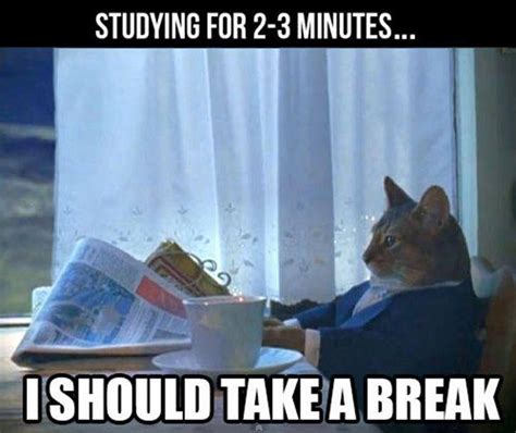 Studying For 2-3 Minutes.. I Should Take a Break | Memes | Grade Calculator