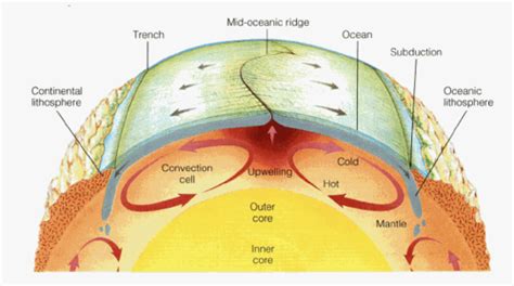 What Generates The Heat Necessary For Convection In Earth Quizlet - The Earth Images Revimage.Org