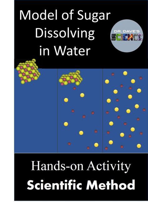 Sugar in Water, Solubility Science | Solubility, Middle school chemistry, Science