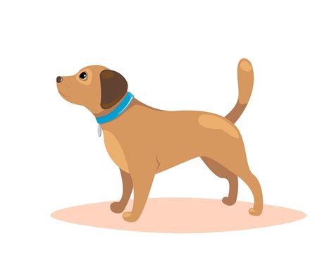 Dog standing. Pet training concept. Vector illustration. 6630985 Vector ...