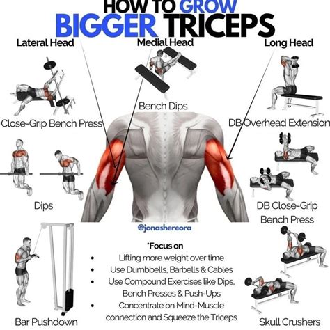 5 Simple Ways to Grow Your Triceps Faster | Triceps workout, Bicep and tricep workout, Biceps ...