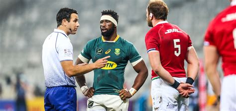 Springboks bounce back to level British & Irish Lions Test series