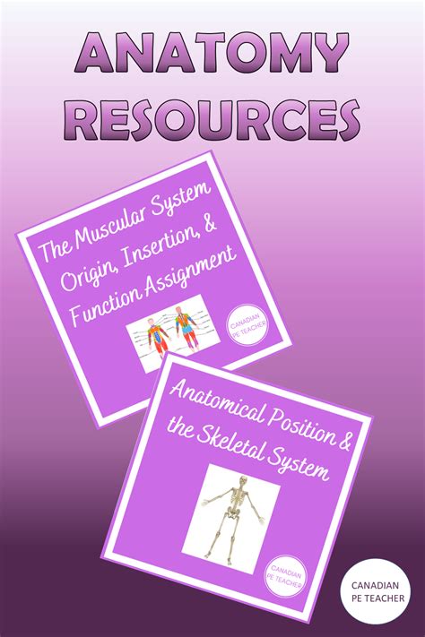 These anatomy resources cover everything students need to know about the skeletal and muscular ...