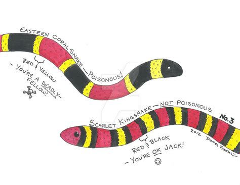 No. 3 - Coral Snake vs. Kingsnake by MasterKrypton on DeviantArt