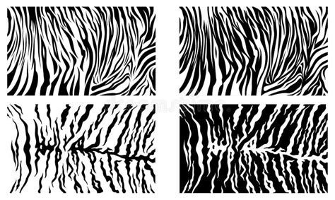 Tiger Stripes Pattern Texture Stock Illustration - Illustration of ...