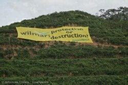 Banner at Wilmar Palm Oil Concession in Sumatra - Greenpeace USA