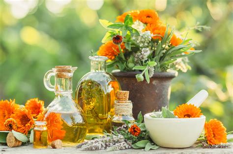 Discover 7 DIY Herbal Skin Care Recipes