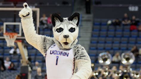 UConn Huskies Roundup - 1/8/17 - The UConn Blog