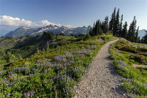 Skyline Trail Hike | Outdoor Project