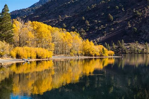 Fall Colors in the Eastern Sierras [June Lake, Mammoth, Convict Lake ...