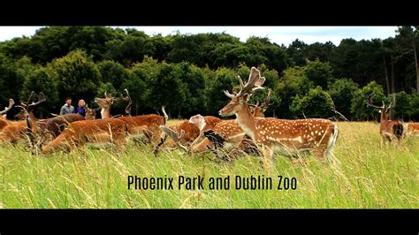 Phoenix Park and Dublin Zoo - YouTube