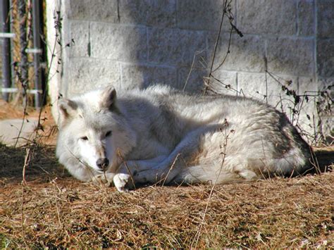 Green Bay Zoo