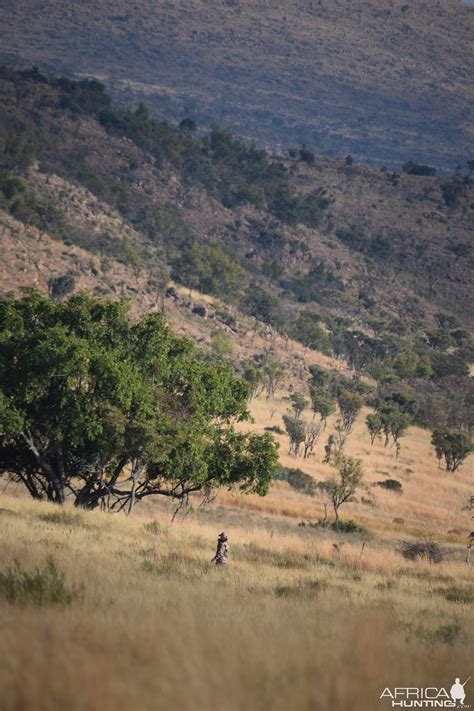 Waterberg Mountains, RSA | AfricaHunting.com