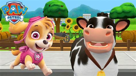 PAW Patrol Rescue World Gameplay - Skye is looking for the cows - YouTube