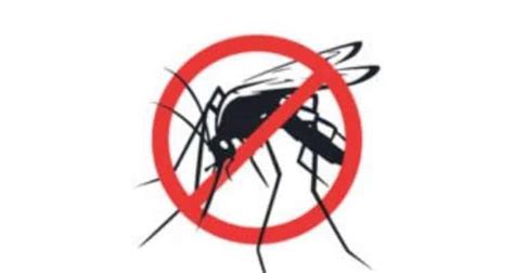 On National Dengue Day experts highlight urgency on awareness ...