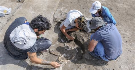 Archaeologists find Urartian artifacts in eastern Turkey | Daily Sabah