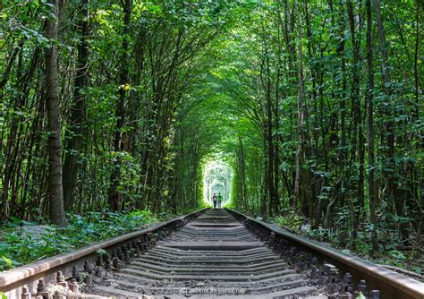 “The Tunnel of Love” – the most picturesque place in Ukraine · Ukraine travel blog