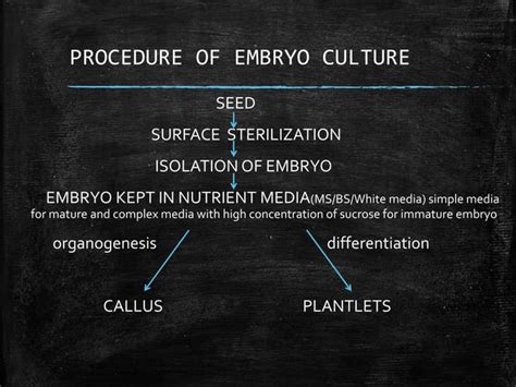 Embryo culture and its application