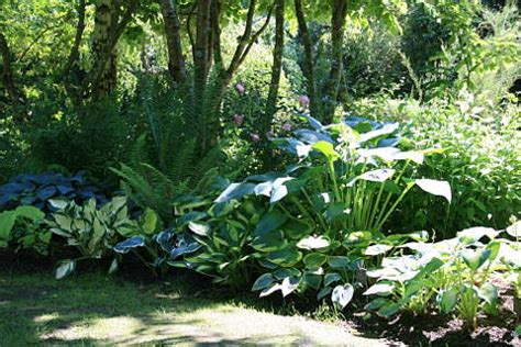 Jardin d'Atmosphere du Petit Bordeaux; tourism and garden visit