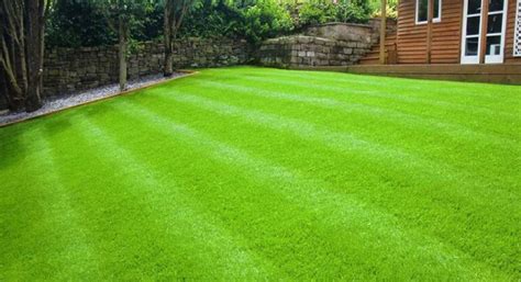 How To Get Bermuda Grass To Spread? - LawnCARE