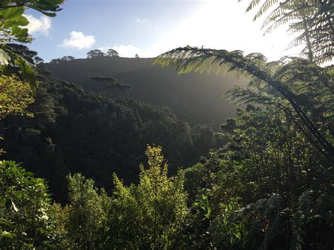 Zealandia, New Zealand [OC] [3264x2448] : r/EarthPorn