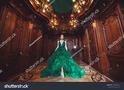 8,384 Bronze dress Images, Stock Photos & Vectors | Shutterstock