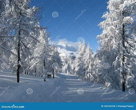 Heavy snowfall stock photo. Image of road, exterior - 165163744