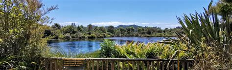 Te Waikoropupu Springs Walk, Nelson-Tasman, New Zealand - 132 Reviews, Map | AllTrails