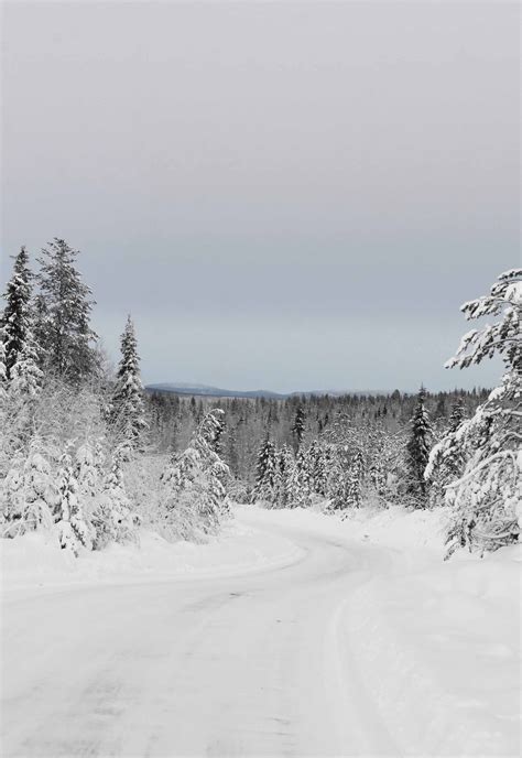 Exploring Finnish Lapland in winter | These Four Walls