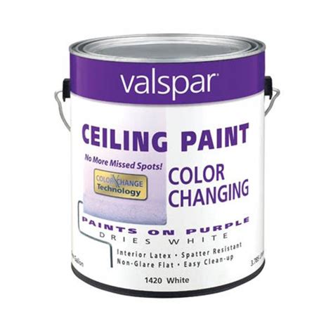 Valspar 1 Gallon Ultra Premium Color Changing Ceiling Paint at Blain's ...