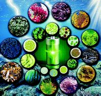 Algae-based electrochemical energy storage devices - Green Chemistry ...