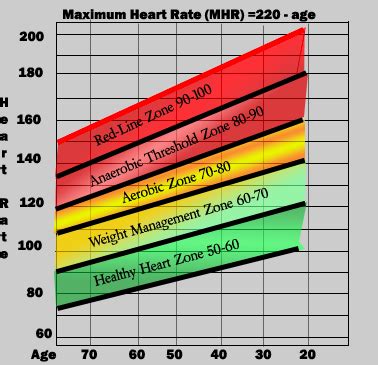 Understanding Your Heart Rate Zones | Just Run Lah!