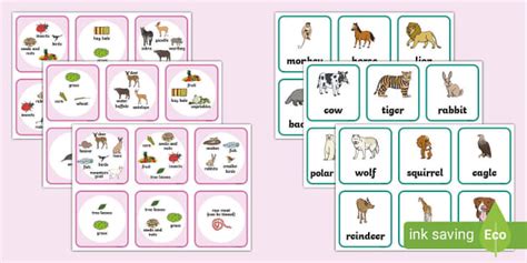 Animals and their Diets Matching Activity (Teacher-Made)