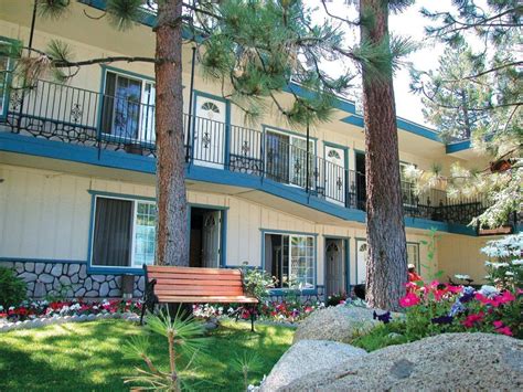 8 Pet-Friendly Hotels In South Lake Tahoe - Epic Lake Tahoe