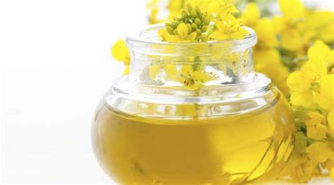 Is Canola oil healthy for you? 10 facts and 7 recipes you might be interested in | Food-wine ...