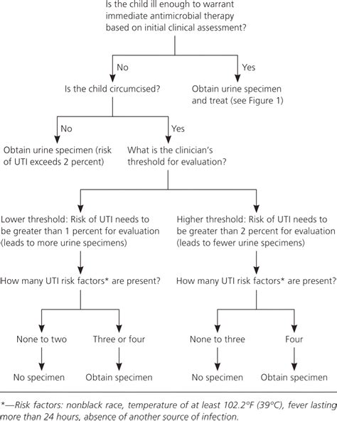 Uti Treatment Guidelines 2024 - Chlo Melesa