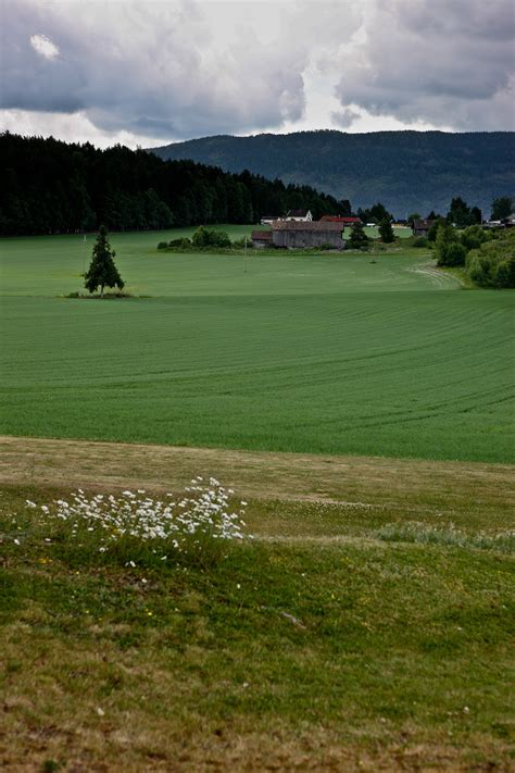 Untitled — breathtakingdestinations: Vik - Norway (by cliff...