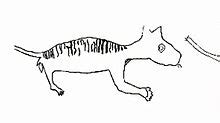 Thylacoleo carnifex — Wikipédia
