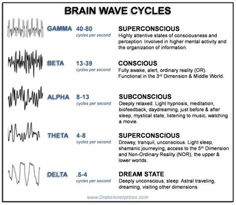 Levels of 3d consciousness the brain wave states – Artofit