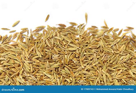 Cumin seeds stock image. Image of fragrant, good, fresh - 17989743