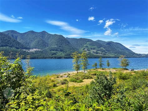 Port Alice, BC: Marvel at Wild Beauty of North Vancouver Island "Beast"