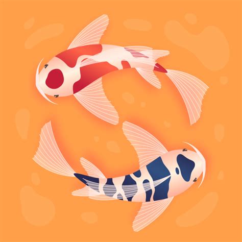 Koi Fish: Learn to Create this Vector Using Adobe Illustrator