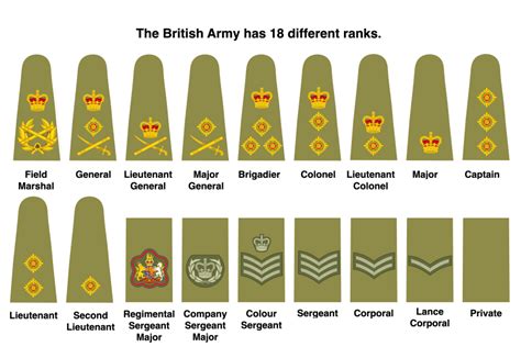 Do we need to simplify the rank structures of UK Armed Forces? – UK Land Power